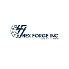 Hex Forge Inc