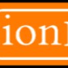 ion detective