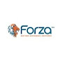 forza built