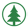 Cedrus Silicone